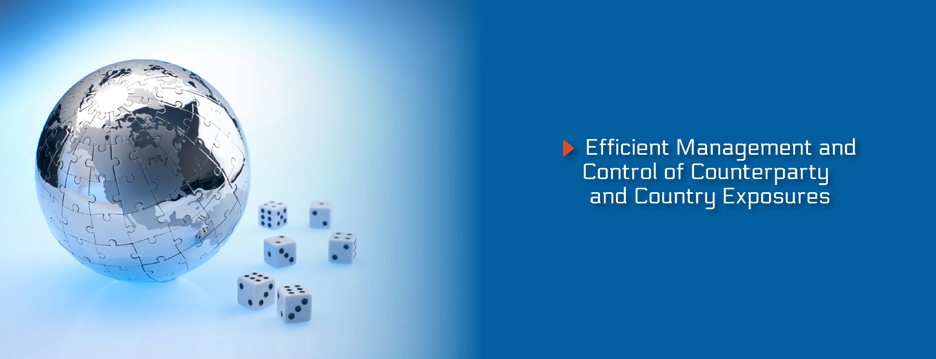 Efficient Management of Exposures