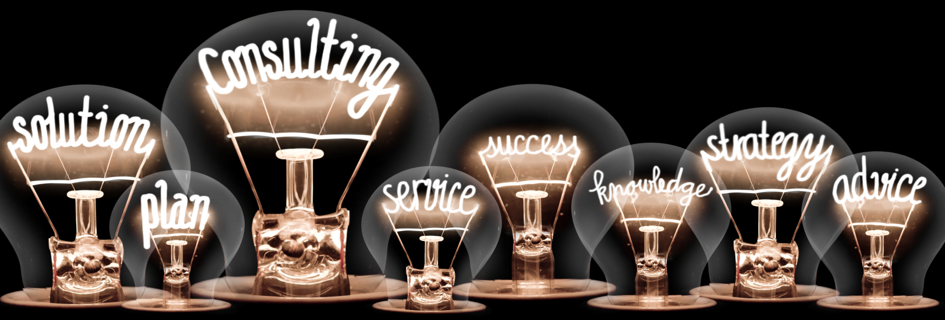 Consulting Services