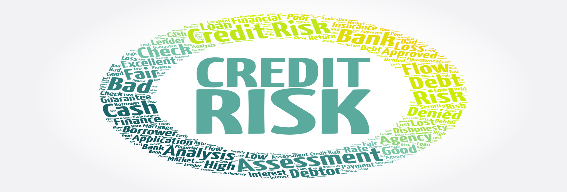 CorrCMS – Credit Risk Assessment